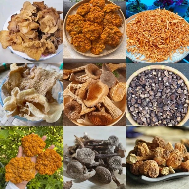 【土特产阿龙专属107】重量20g