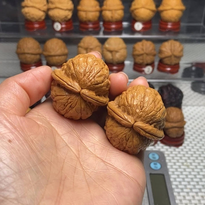 文玩核桃把件15金龟玉甲