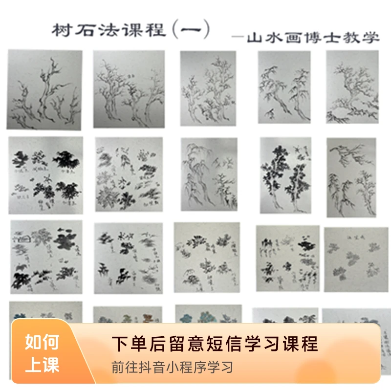 树石法线上课程（无作业讲解）-山水画博士示范教学