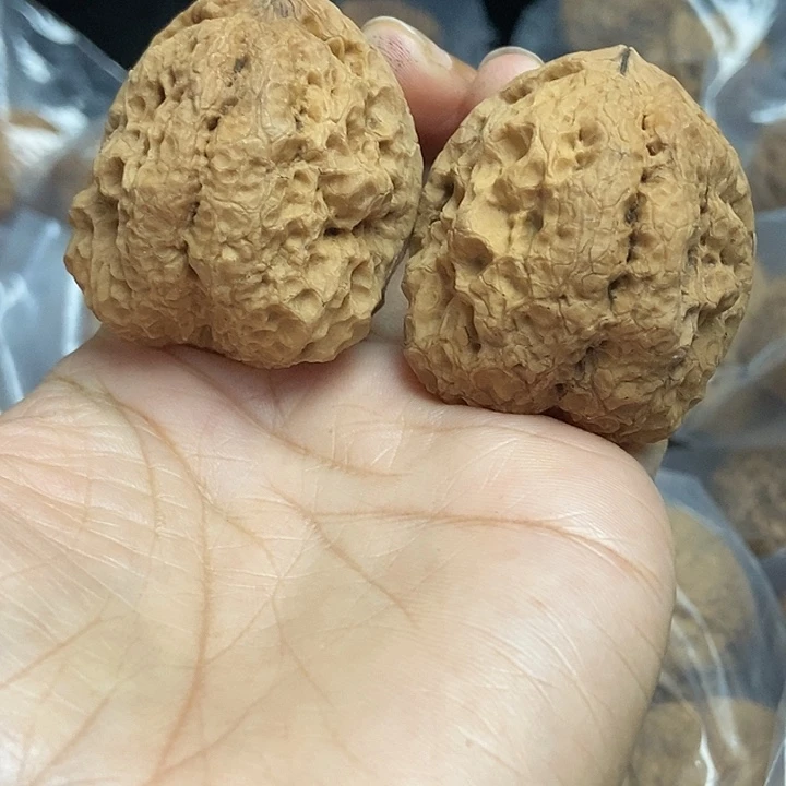 木质类云南铁核桃基地93