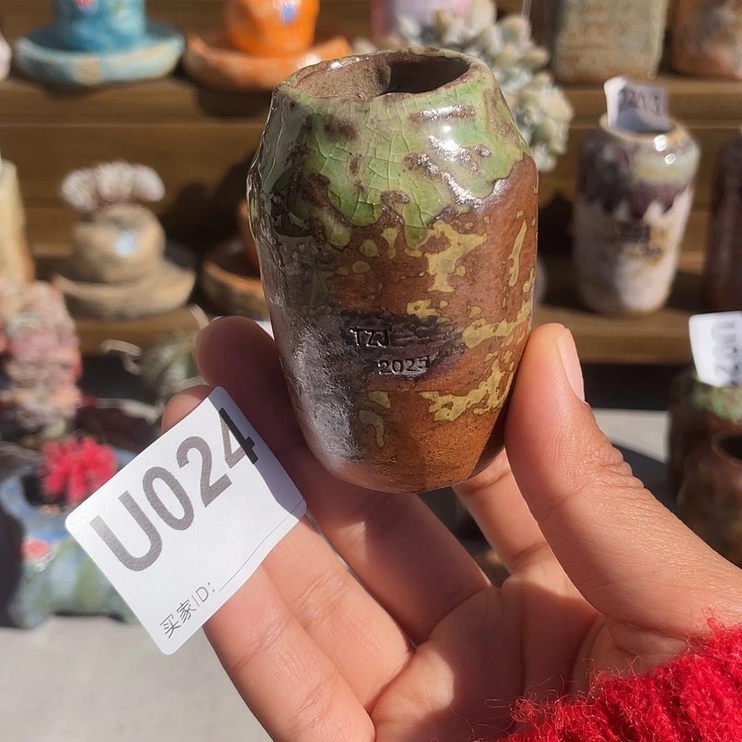 坛子姐花盆 拇指盆内口2.7百搭