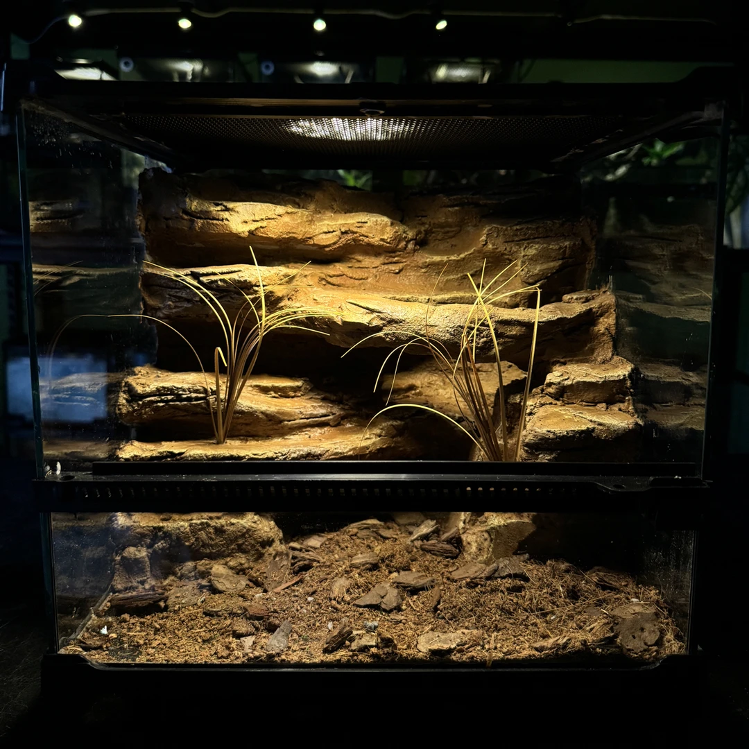 30.25.27荒漠款爬宠造景缸爬虫饲养缸守宫