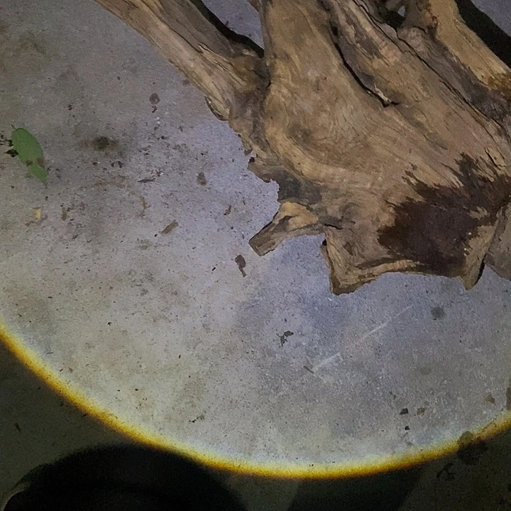 盼***楠木（金丝楠）手串/手链