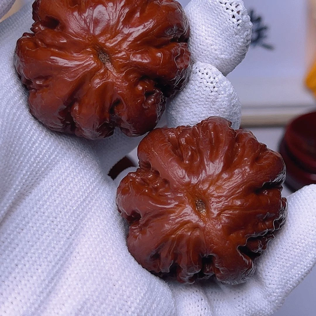 木质?****L红霸王龙