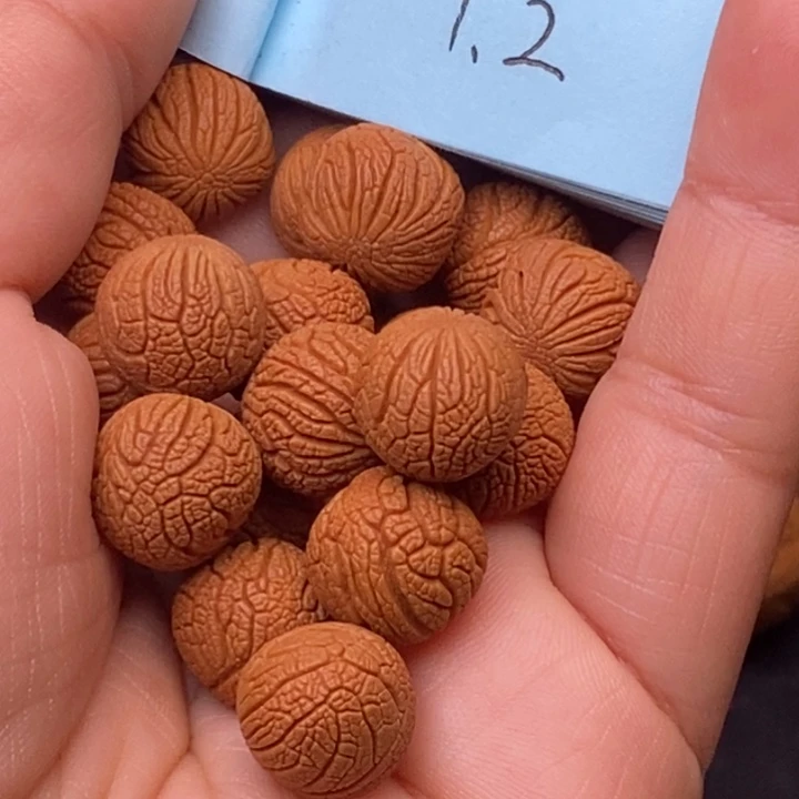秦岭龙纹桃核20颗