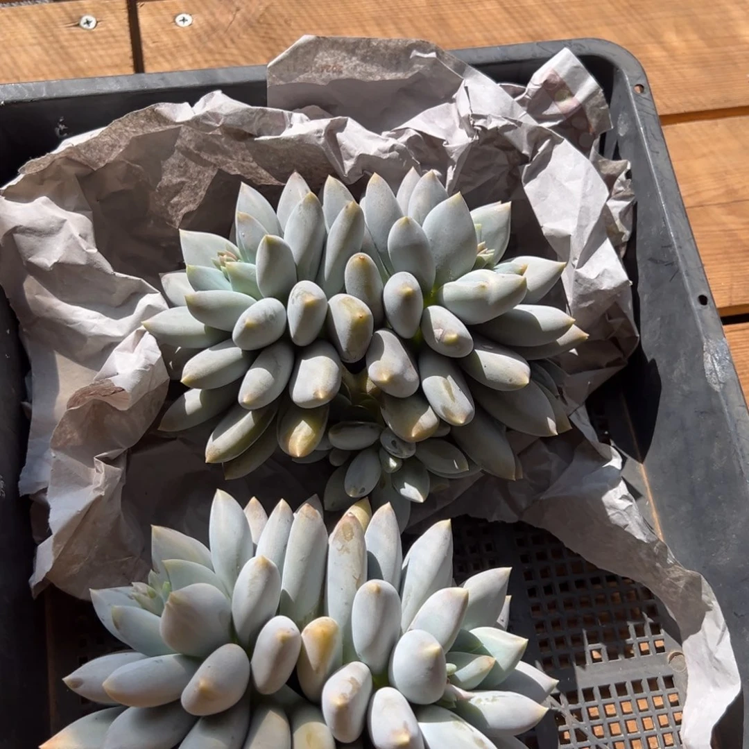 1251111111111111111111