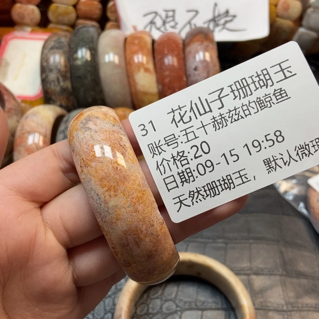 五***鱼未镶嵌硅化珊瑚（珊瑚玉）珠宝半成品31