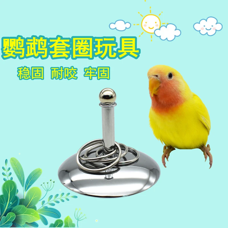 宠物鹦鹉套圈玩具互动玩具训练用品虎皮开发道具鹦鹉小鸟用品
