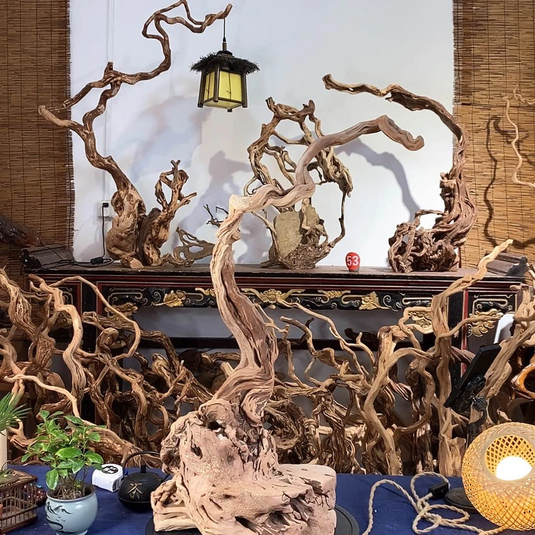 絽***大香榧木好喜欢这个造型哦