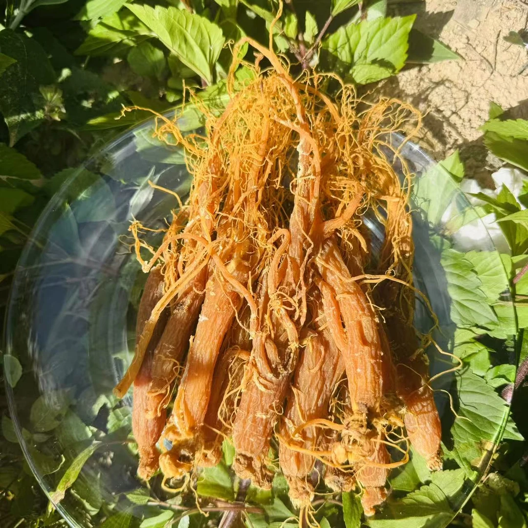【百-年-红-参】净含量100g-1000g【阿虎现收】