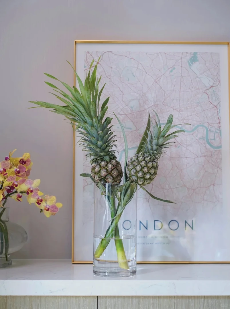 小菠萝黑凤梨鲜切花云南基地直发包邮