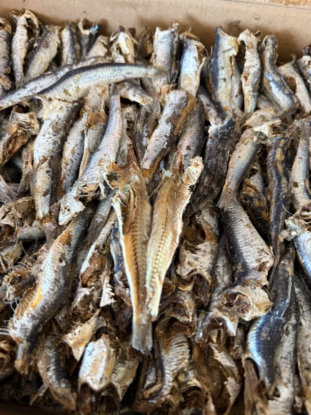 福建本地黑江鱼干新鲜美味海鲜