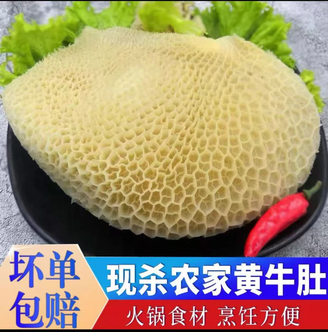 新鲜现煮半熟黄牛肚牛胃蜂窝肚黄金肚商用火锅食材 新鲜速冻发货