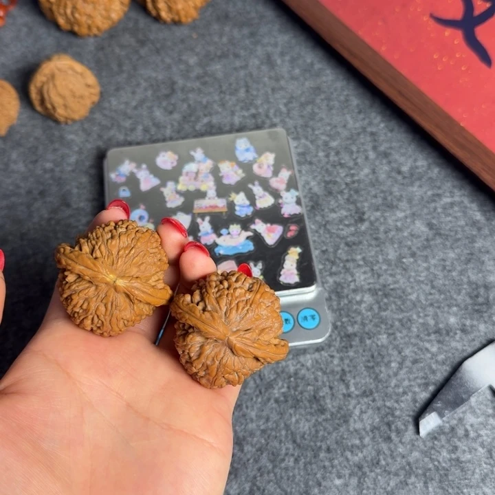 单只有黄打底45尺福利不退