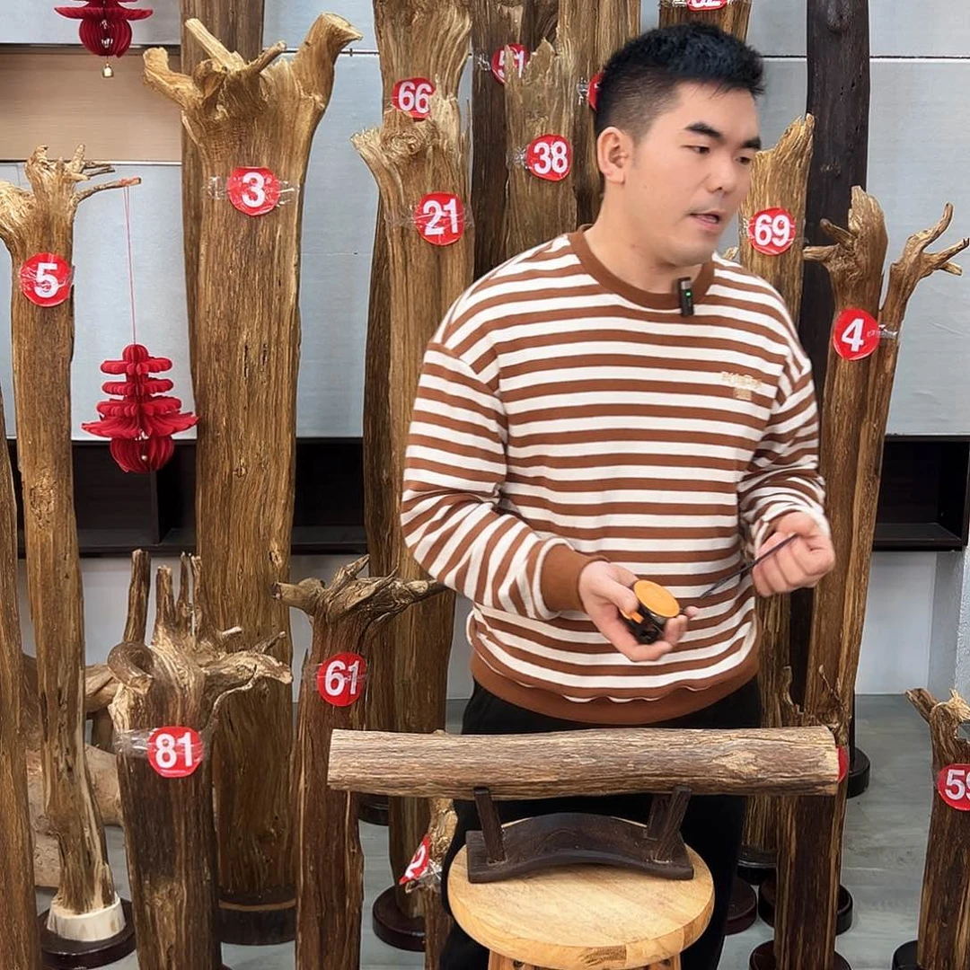 沉香摆件海南沉香原料