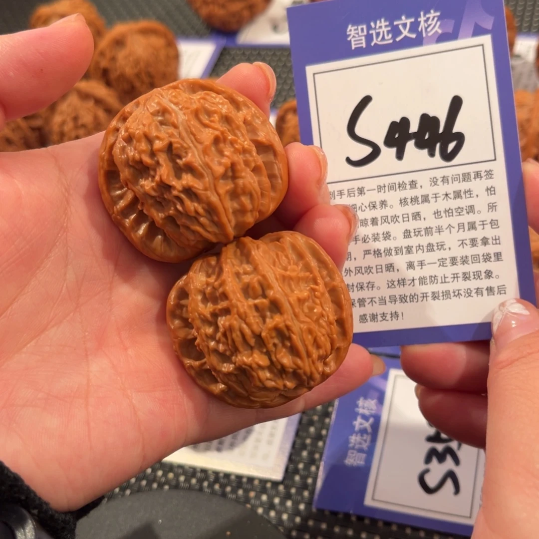 核桃S446号白狮子41尺