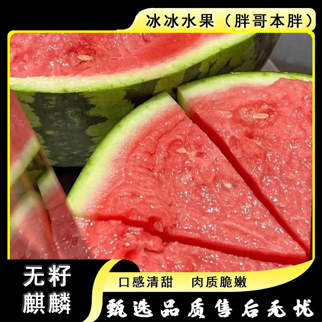 【一颗】[Y]2号无籽麒麟西瓜 颗/6.5斤以上 仅太原晋中吕梁忻州可拍