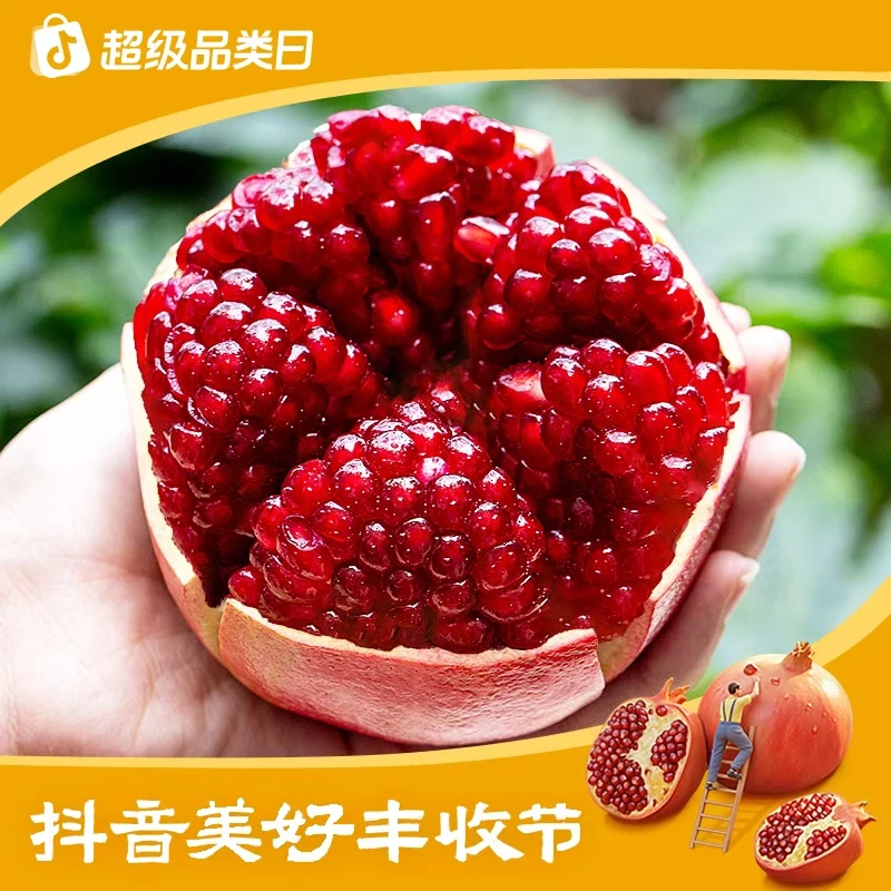 【丰收节特供】四川新鲜软籽石榴5斤甜石榴新鲜饱满皮薄爆汁TY
