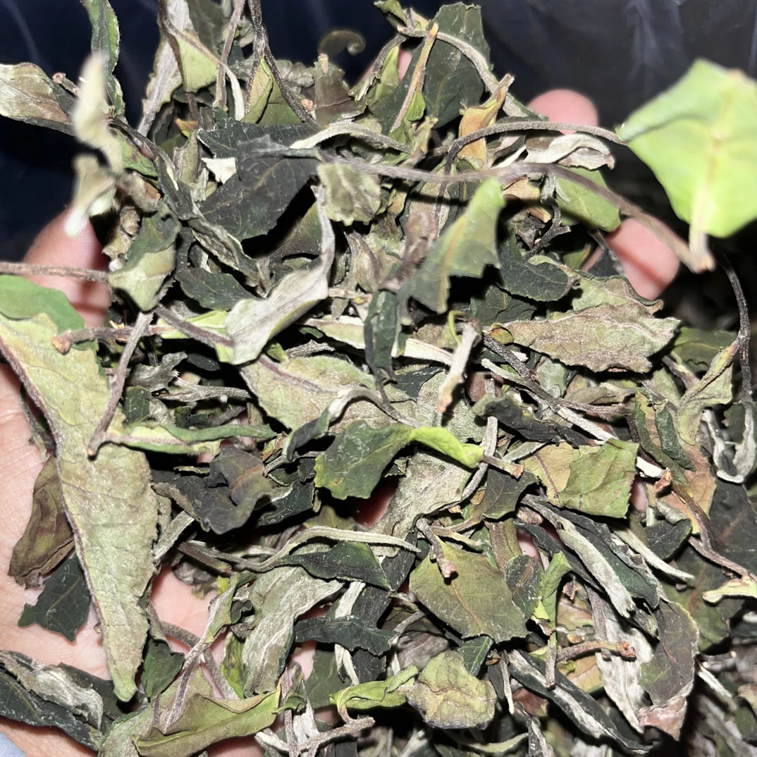 2025 古树头春白茶 散茶250g