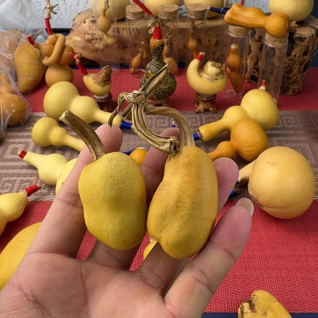 一***豆大叶紫檀（黑酸枝木类）