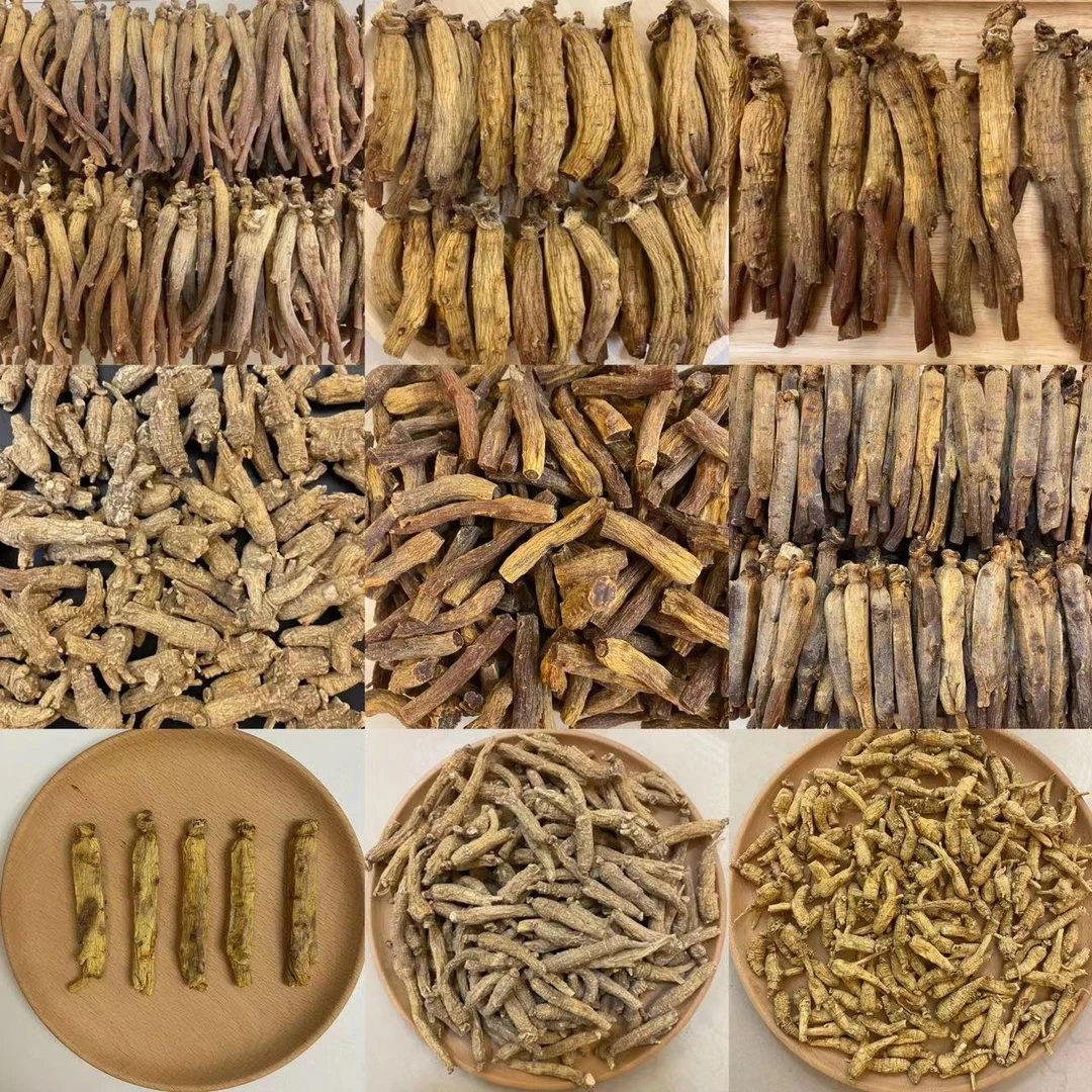 【高俪条】18支正玻璃肉（肥短） 人参