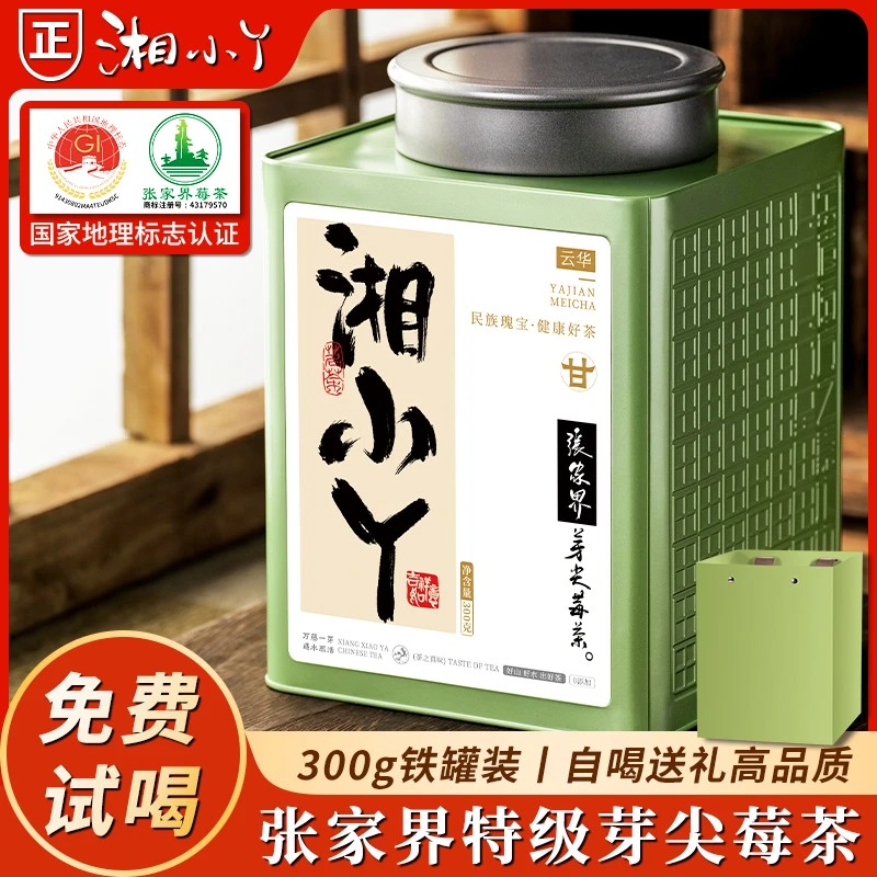 张家界正宗特级牙尖莓茶铁罐装高山龙须