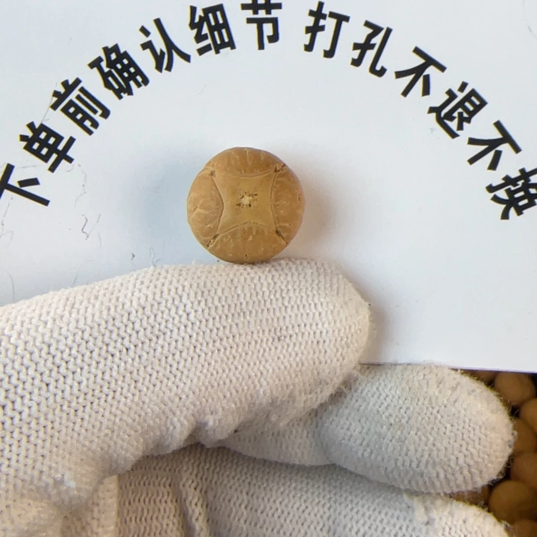 r***w吊坠凤眼菩提凤眼菩提麒麟眼单颗 打孔不退不换