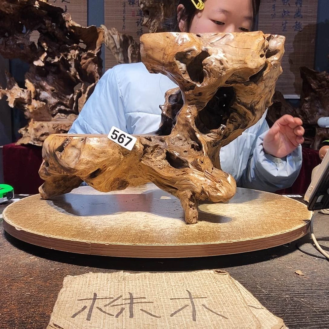 晨***晨567株木随行的小根艺