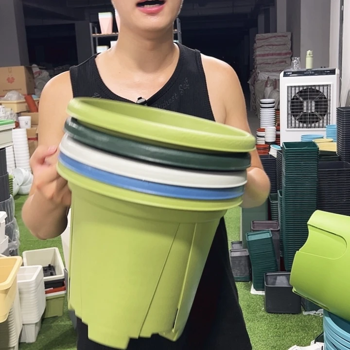 青山口32高28混色无托5只