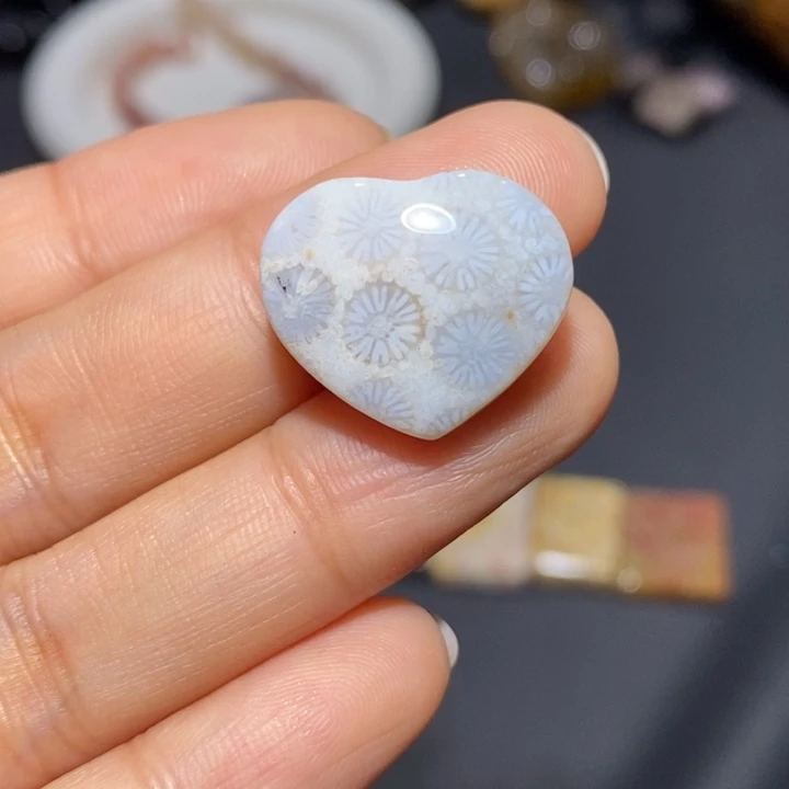 【闪购商品】未镶嵌珊瑚玉硅化玉