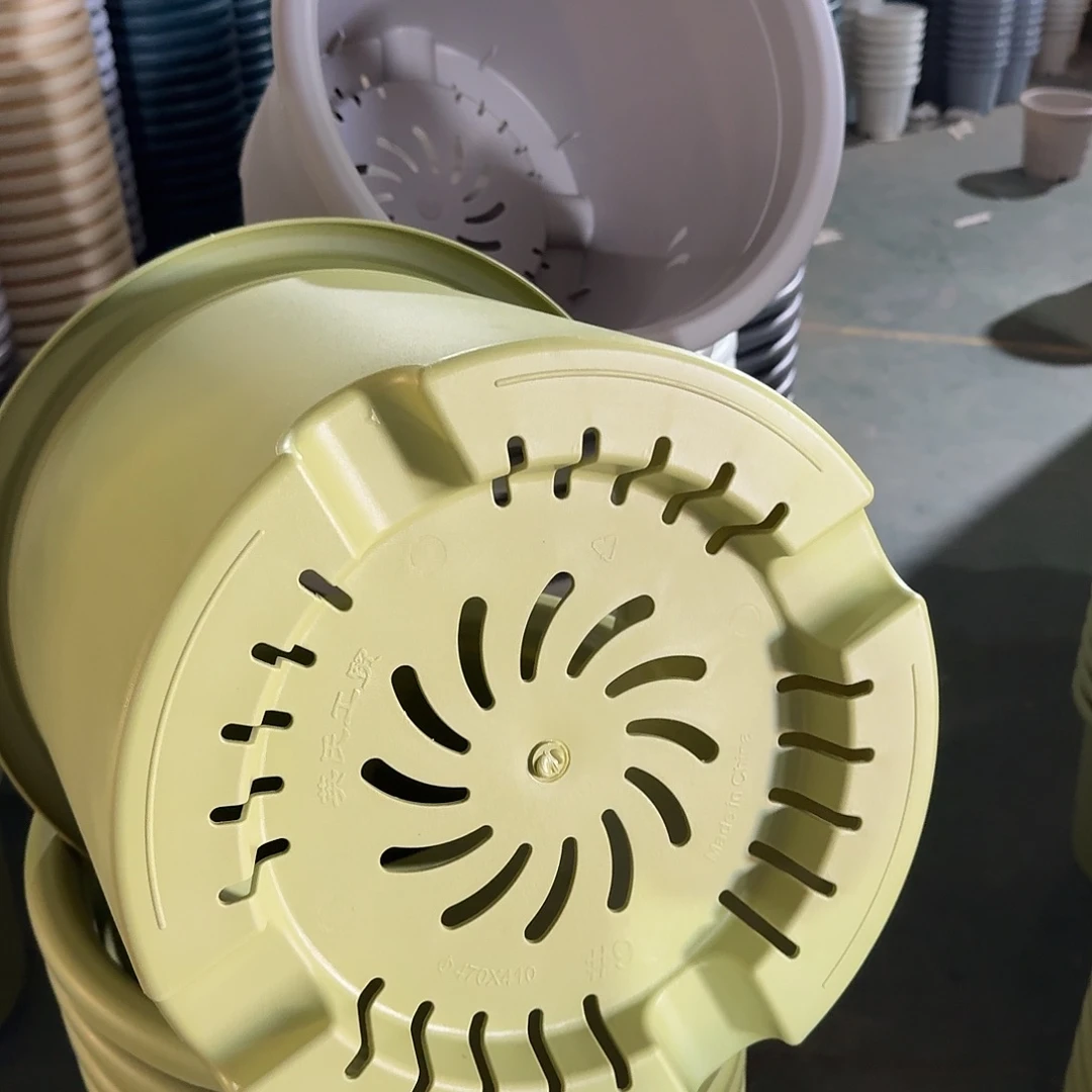 四季9号4个果绿色的