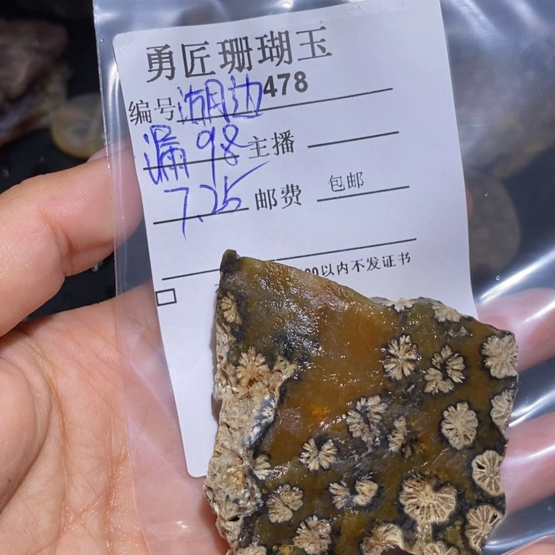 【闪购商品】硅化玉珊瑚玉未镶嵌湖*
