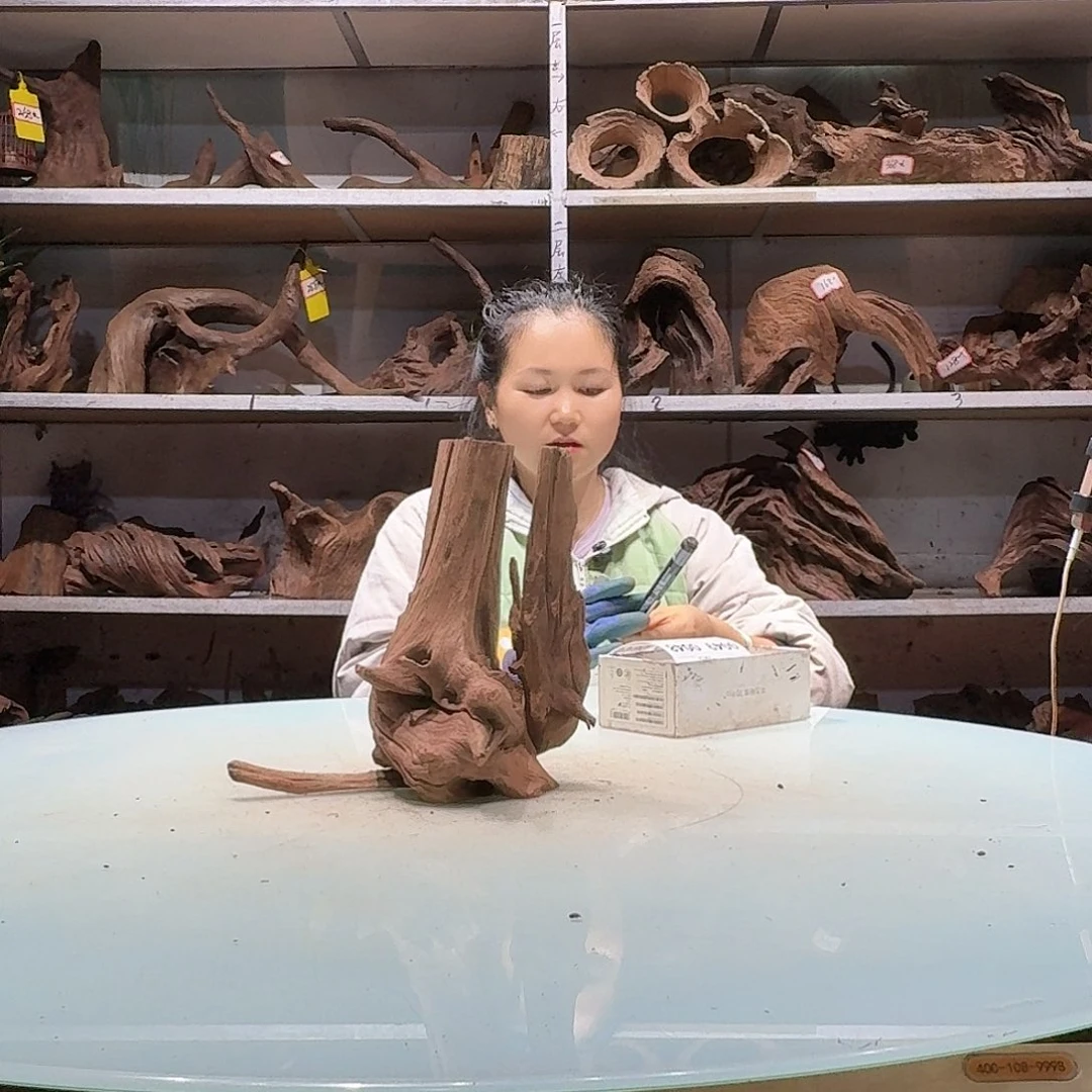 介****l倍储沉木不包损0041