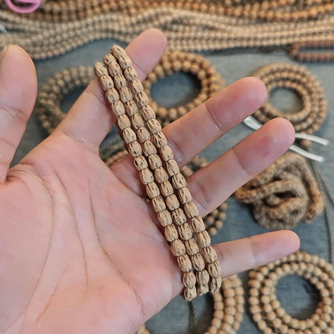 菩提高庄直切热振