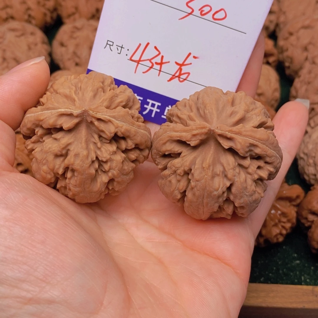文玩核桃霸王龙核桃