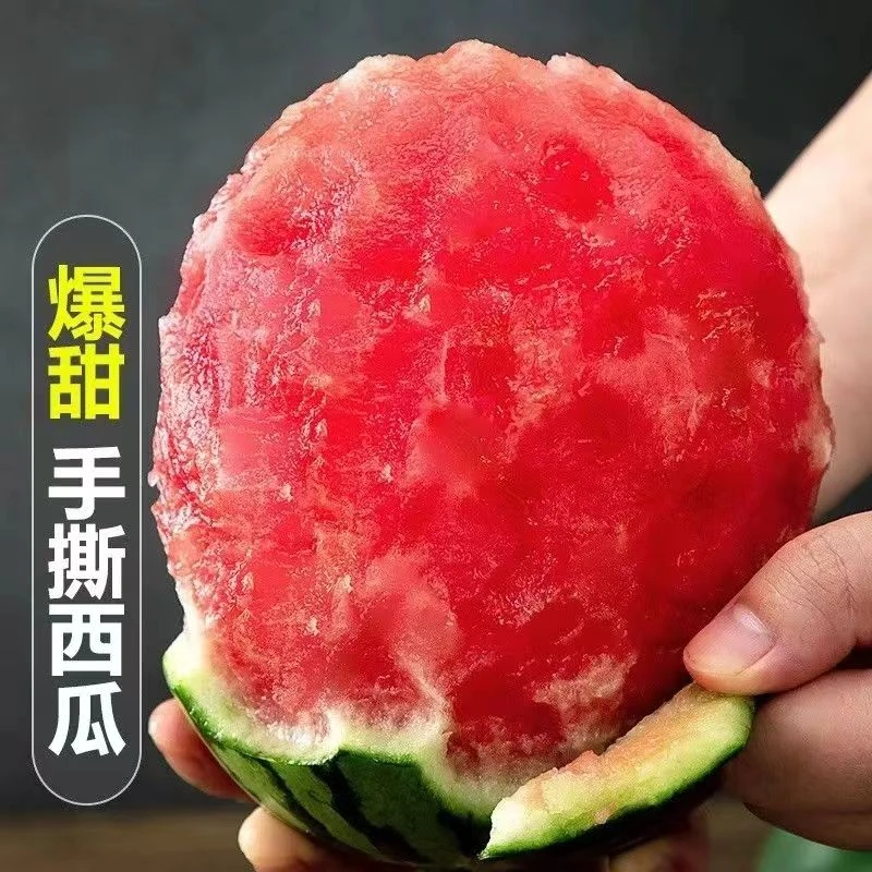 【顺丰包邮】山东2K小糖丸西瓜爆甜薄皮西瓜剥皮西瓜