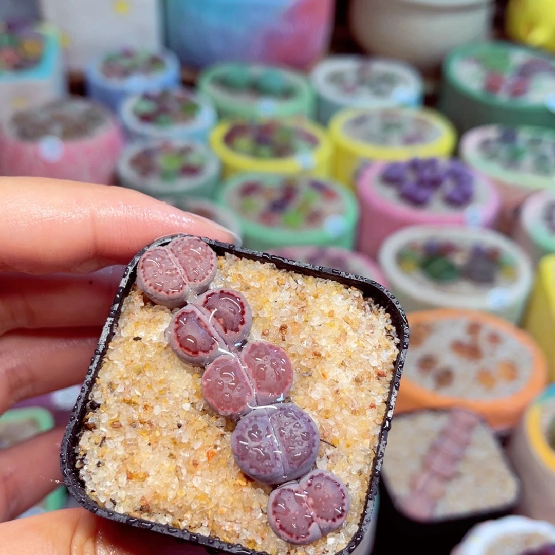 874。88888888888888888888