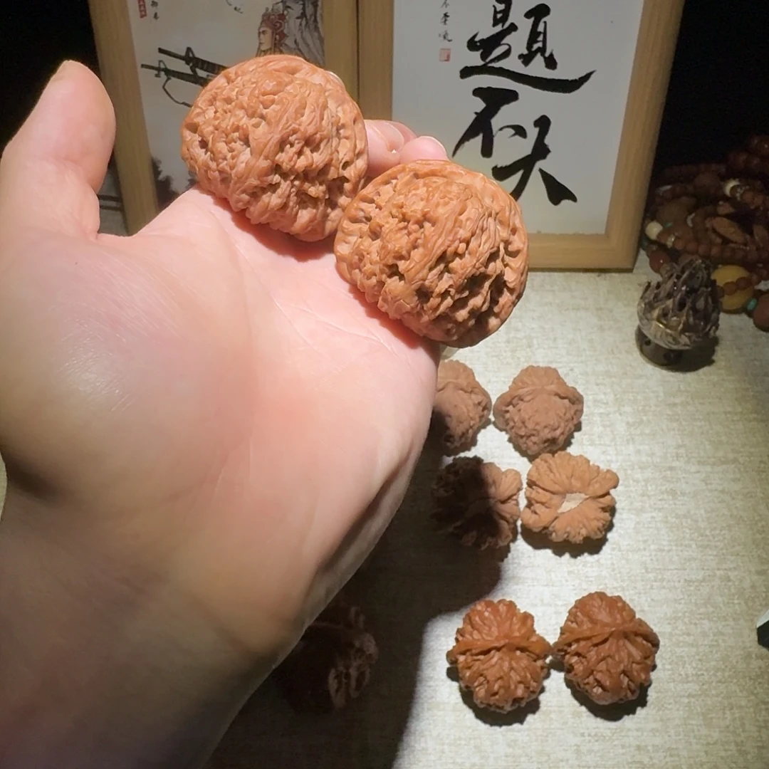 核桃赵喜满南疆石47