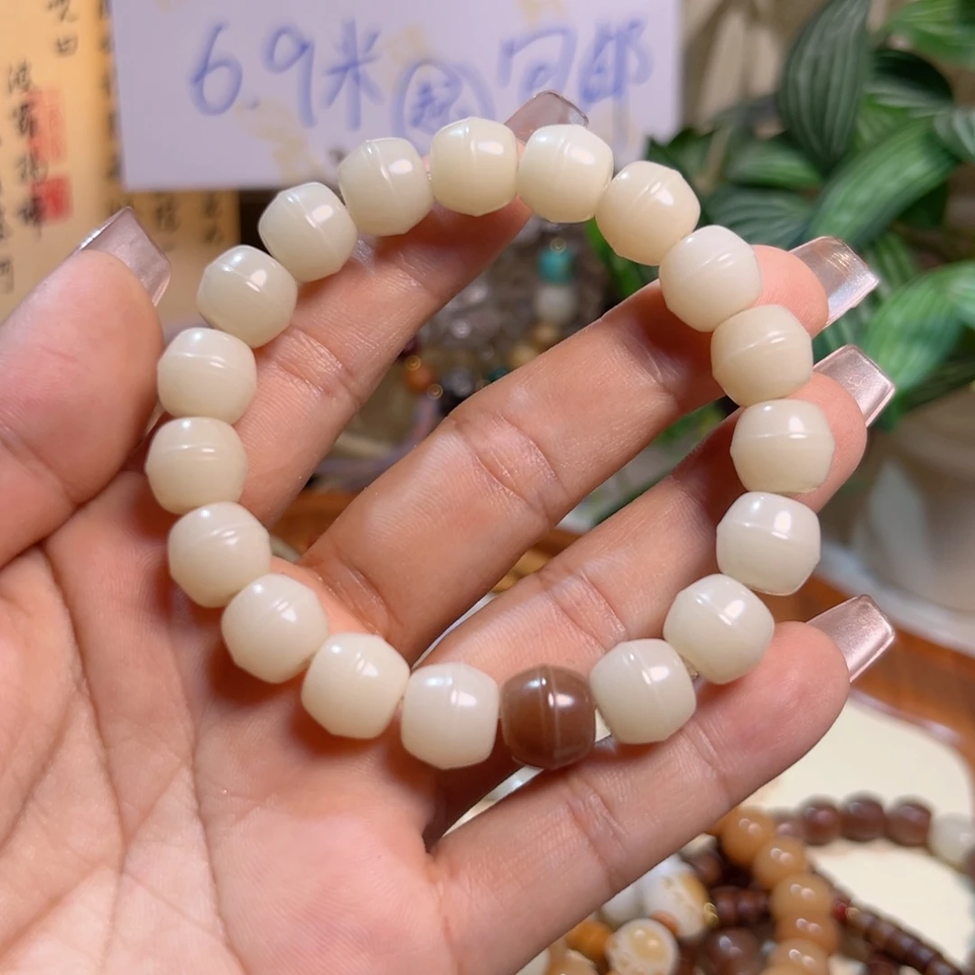 菩提根/象牙果手串