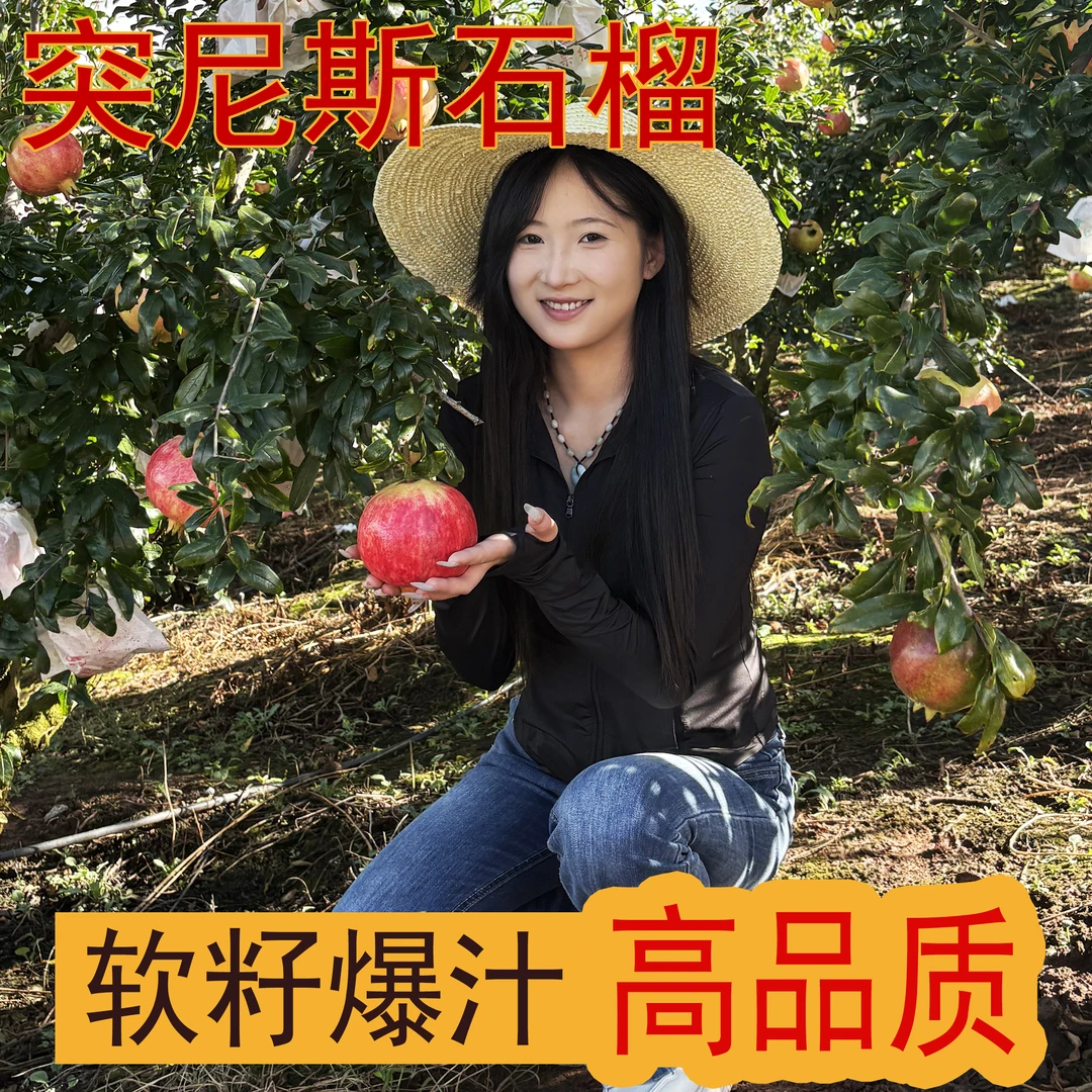 九顺精选四川会理软籽石榴新鲜采摘爆甜多汁（超级推荐）