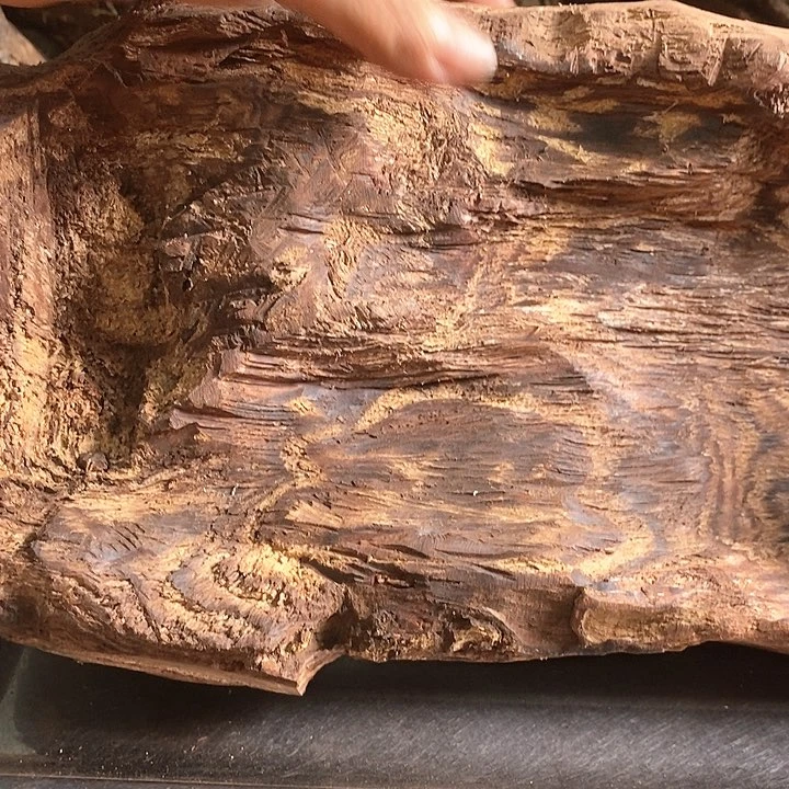 花梨木类无*海南花梨