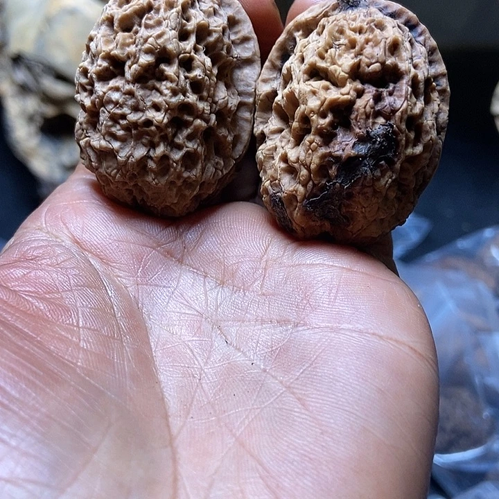 把件文玩核桃云南铁核桃基地82