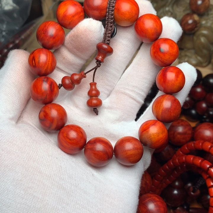 木1.5果冻特色变异