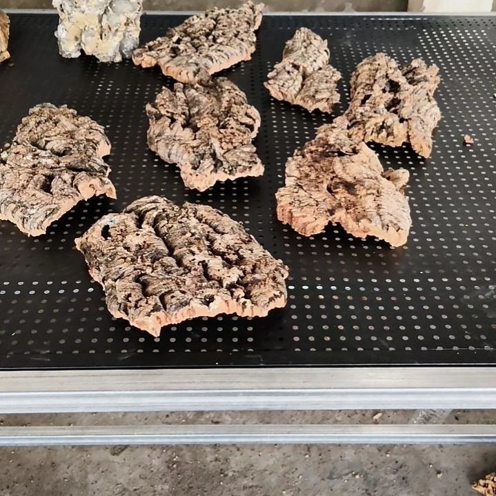 东***顺顺利利，平平安安