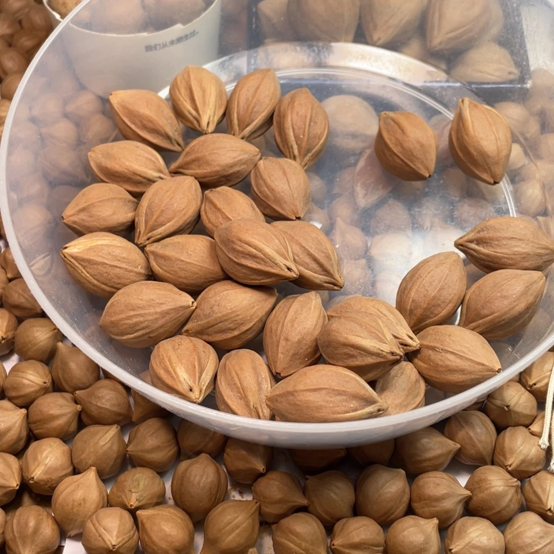 一***丈橄榄核手串/手链四花