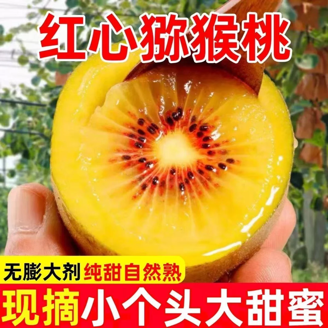 【正宗】四川浦江红心猕猴桃应季新鲜专用水果产地现摘现发