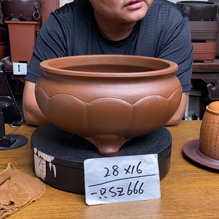 紫砂货号一只SZ666