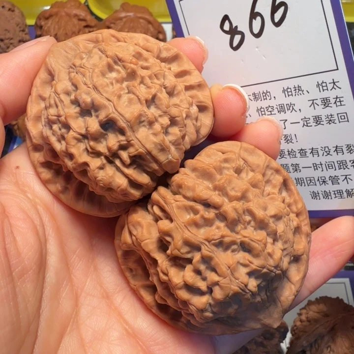 把件文玩核桃866官帽50