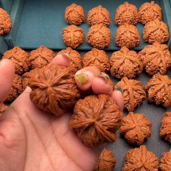 ，***核桃88888888888888