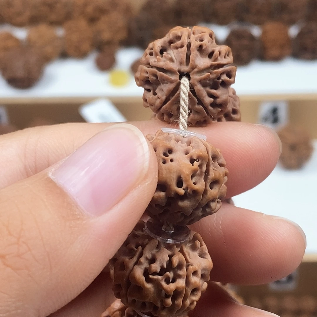 手串金刚菩提精品梅花飞碟蜂窝双龙